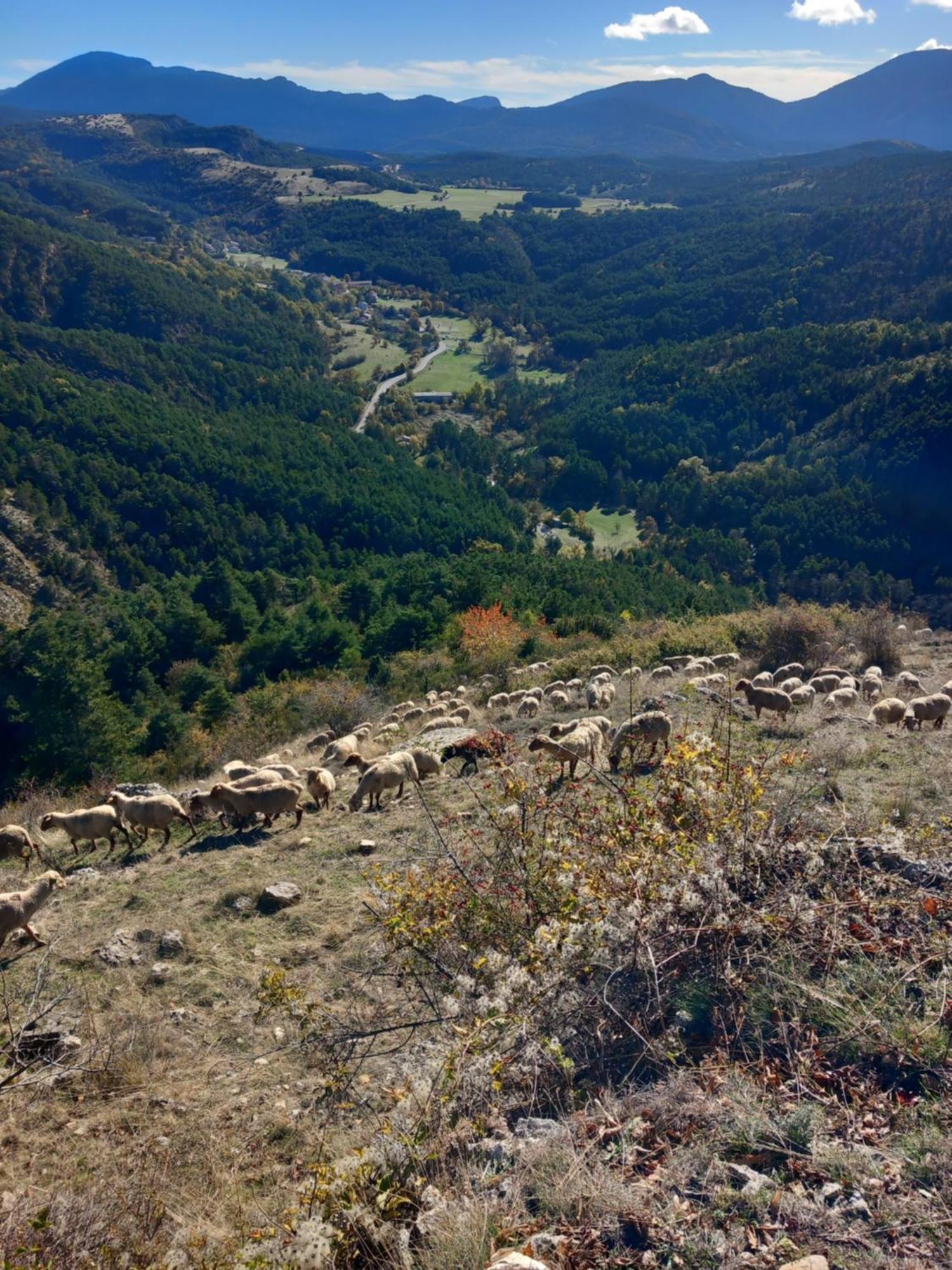Gite La Mountagna Peyroules Exterior foto